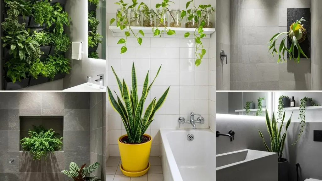 Badkamer met diverse planten: hangplanten, vetplanten en een groene wand voor sfeer en stijl.