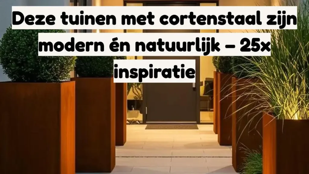 Moderne tuin met cortenstaal plantenbakken en siergrassen langs pad naar de voordeur.
