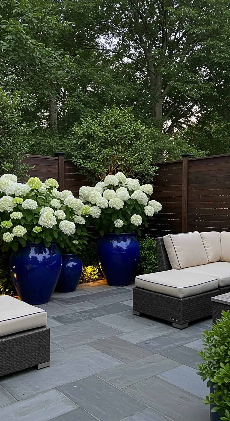 Witte hortensia's in grote, glanzende kobaltblauwe potten op een modern terras met loungeset.