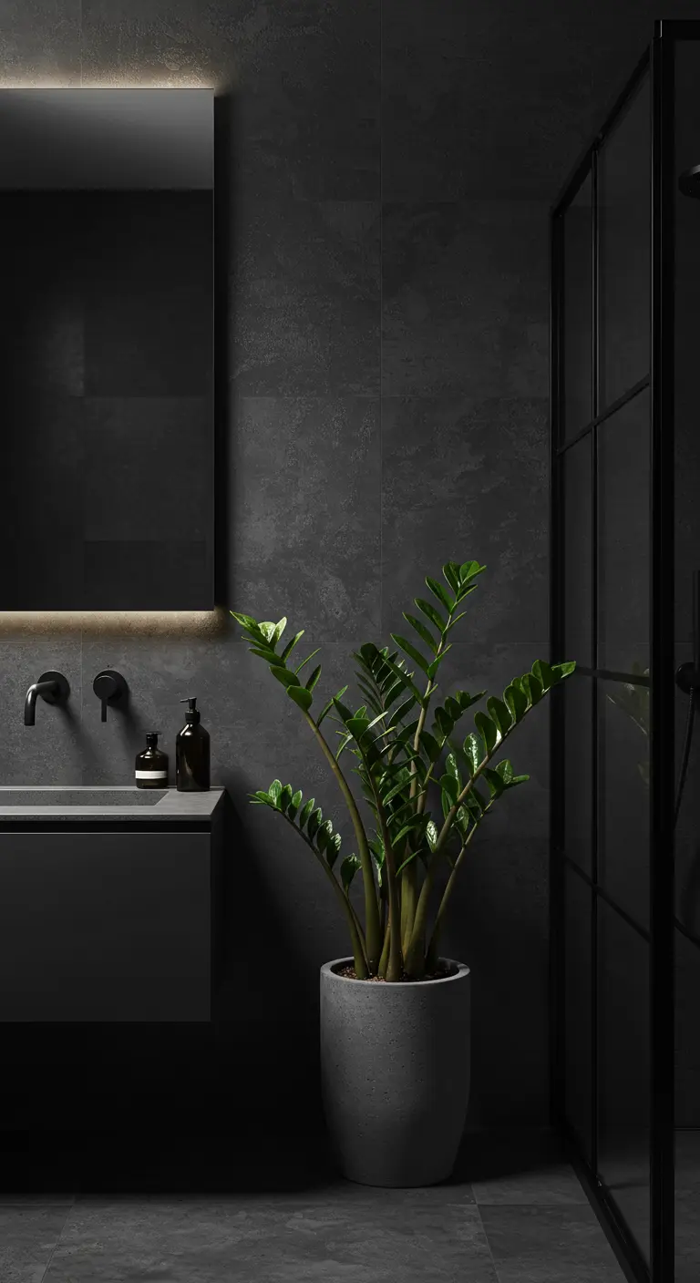 ZZ-plant in betonnen pot in een zeer donkere, minimalistische badkamer met zwarte tegels.