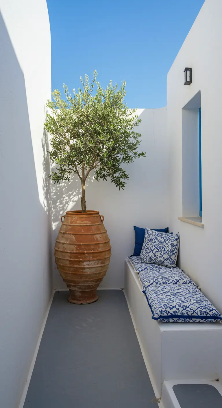 Mediterrane hoek met een olijfboom in een grote terracotta pot en een zitbank met blauw-witte kussens.