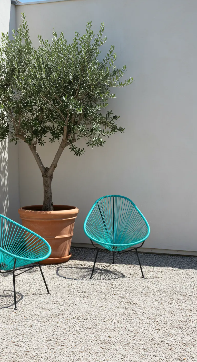 Twee turquoise Acapulco-stoelen naast een olijfboom in een grote terracotta pot.