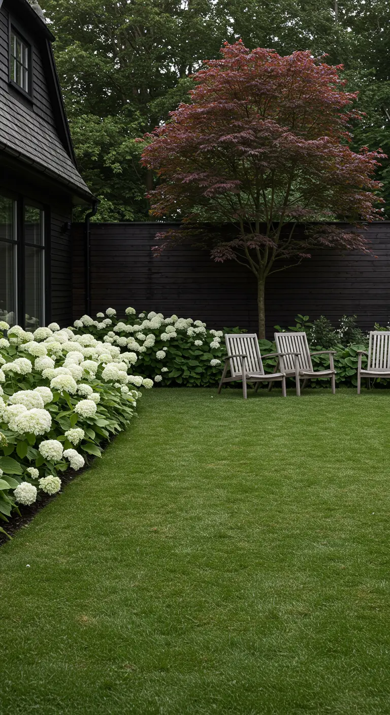 Moderne tuin met een zwarte schutting, een overvloed aan witte hortensia's en lichte houten stoelen.